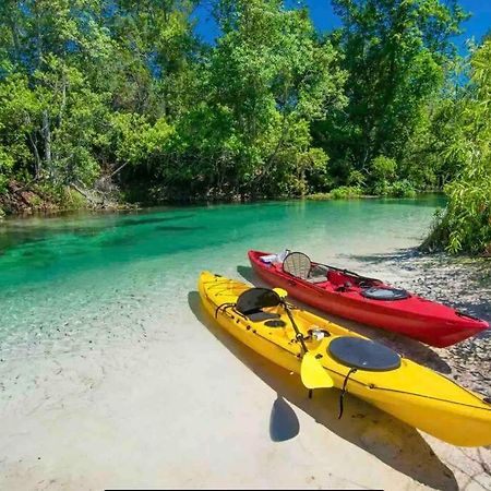 Manatee Oasis Weeki Wachee Family Fun Pool Home Spring Hill Eksteriør bilde