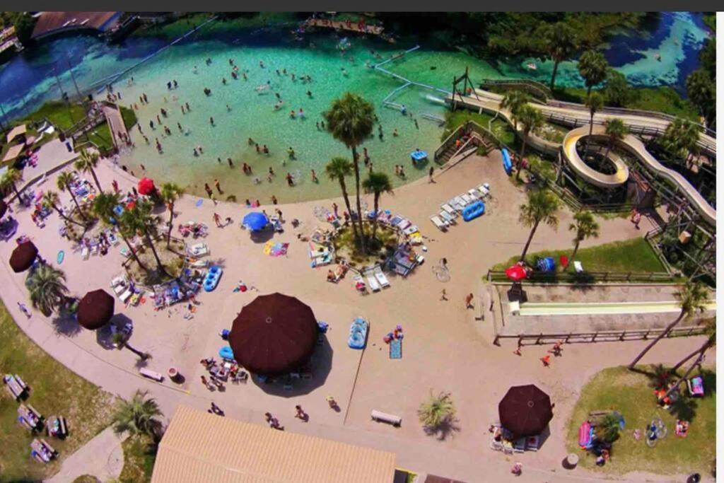 Manatee Oasis Weeki Wachee Family Fun Pool Home Spring Hill Eksteriør bilde