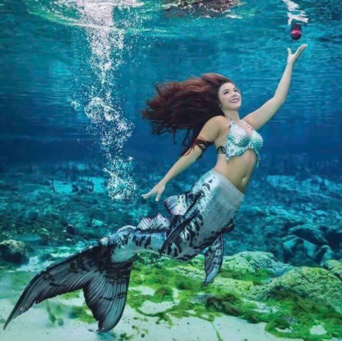 Manatee Oasis Weeki Wachee Family Fun Pool Home Spring Hill Eksteriør bilde