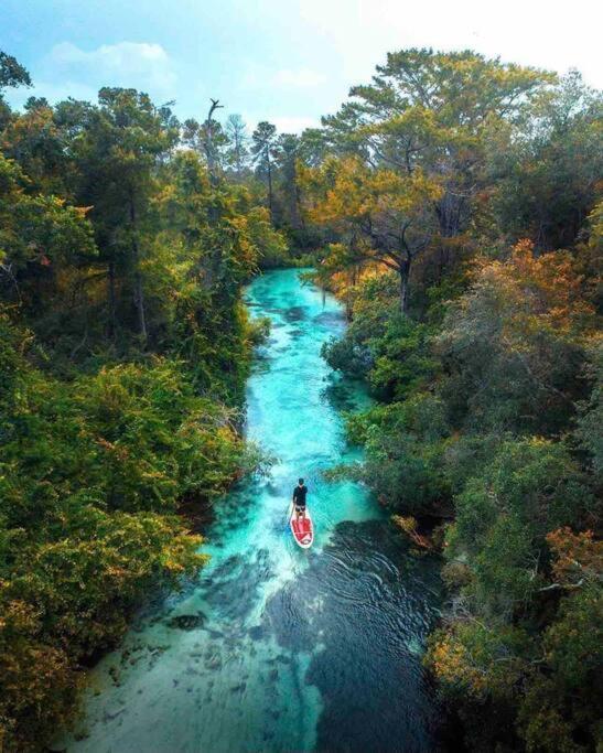 Manatee Oasis Weeki Wachee Family Fun Pool Home Spring Hill Eksteriør bilde