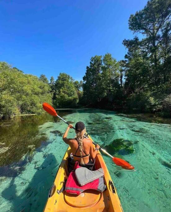 Manatee Oasis Weeki Wachee Family Fun Pool Home Spring Hill Eksteriør bilde